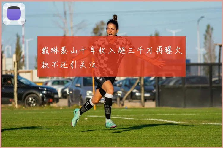 戴琳泰山十年收入超三千万再曝欠款不还引关注