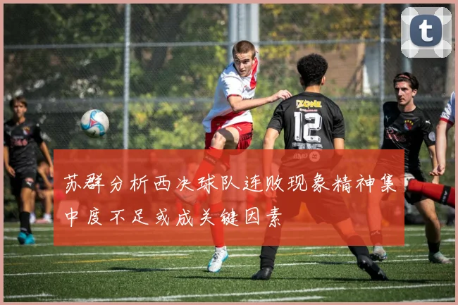 苏群分析西决球队连败现象精神集中度不足或成关键因素