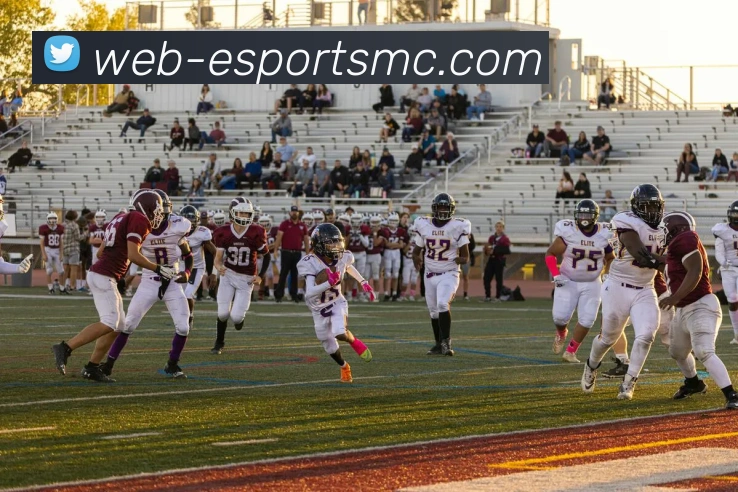 易倍体育平台生态图